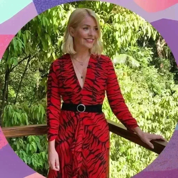 Rixo Adriana Zebra Striped Animal Print Red Black Silk Maxi Dress Size Small - Picture 16 of 16